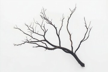 Abstract depiction of a barren tree branch against a minimalist white background