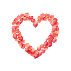 Heart Shape Made of Rose Petals on a Soft Gray Background transparent background
