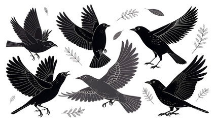 set of silhouettes of birds