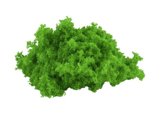 Fototapeta premium Lush verdant foliage cloud, presenting a three-dimensional texture against an isolated backdrop