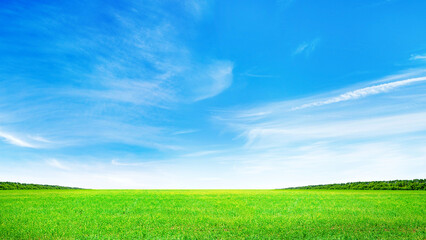 Summer landscape with a vast green field under a majestic sky