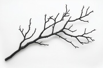 Black tree branch with intricate twigs displayed on a white background for artistic use