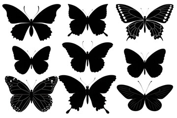 collection of butterflies