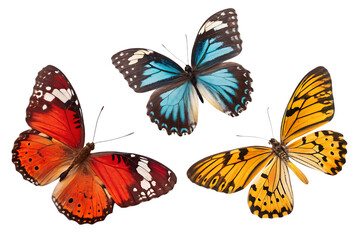 set of butterflies