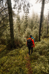 Obraz premium Liptov region hiking in Low Tatras mountains landspace, Slovakia.