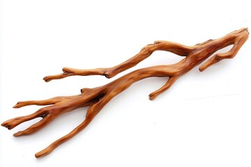 Obraz premium Curved wooden branch with intricate textures and natural patterns on a white background