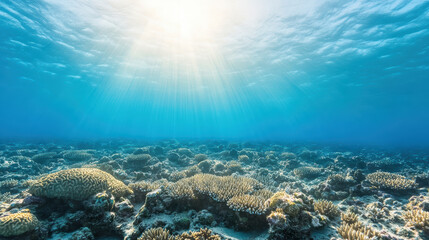 Naklejka premium Vibrant underwater scene showcasing coral reef ecosystem with sunlight filtering through water