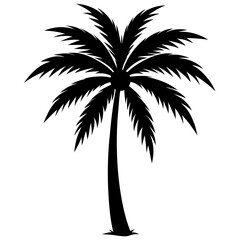 silhouette of palm tree  on white background