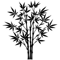 Fototapeta premium bamboo and leaves silhouette on white background