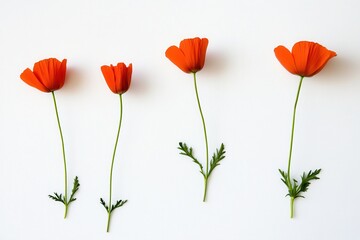 Four vibrant orange flowers with green stems arranged on a white background