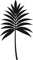 Black and white tropical leaves and plants in various shapes and patterns, vector illustration set. Includes monstera, palm, and other exotic leaves in a stylized, simple design.