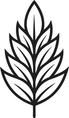 Black and white tropical leaves and plants in various shapes and patterns, vector illustration set. Includes monstera, palm, and other exotic leaves in a stylized, simple design.