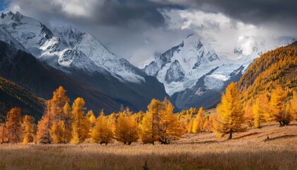 Snow-capped mountains rise above golden autumn trees under a dramatic, cloudy sky in this breathtaking landscape.