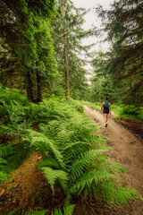 Obraz premium Pilsko Ski Resort, located on the border of Slovakia and Poland, offering scenic tourist trail on Pilsko Mountain in the Beskids, Poland
