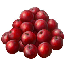 Cluster of red berries