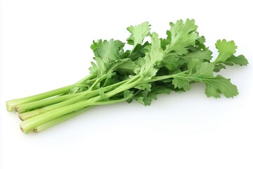 Fresh green celery stalks arranged on a white background, showcasing vibrant leaves and stalks