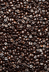 Obraz premium coffee beans background