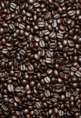 Fototapeta premium coffee beans texture