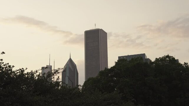 The silhouette of Chicago&rsquo;s skyline emerges behind leafy trees at dusk, with the Aon Center and Crain Communications Building in clear view.