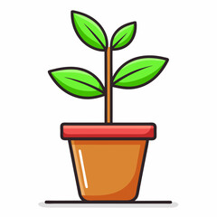 green plant in a pot