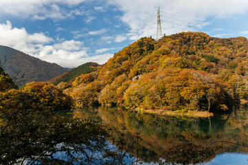 紅葉に彩られた美しい宮ヶ瀬湖。

神奈川県清川村、早戸川林道-2025年
