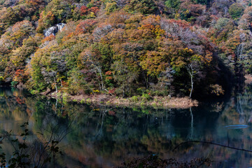 紅葉に彩られた美しい宮ヶ瀬湖。

神奈川県清川村、早戸川林道-2025年
