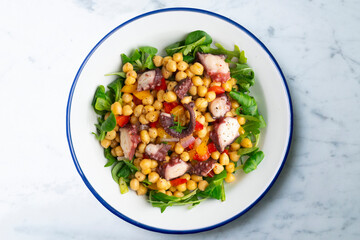 Salpicon de pulpo. Octopus salad with chickpeas, arugula and vegetables. Top view table.