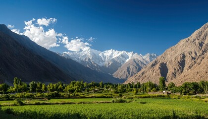 Obraz premium Mountain valley with snow-capped peaks and green fields