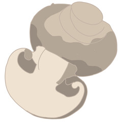 illustration features two button mushrooms (Agaricus bisporus) against a white background