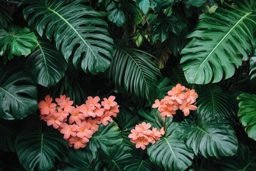 Lush green monstera leaves with clusters of peach blossom flowers. Perfect background for nature, botanical, or vibrant spring themes.