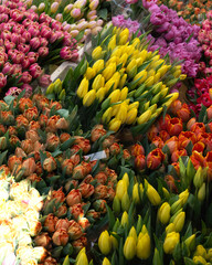 Bunches of colourful flowers at a market making an abstract pattern image for use as a background texture