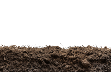 humus soil bottom border pile isolated on white or transparent png