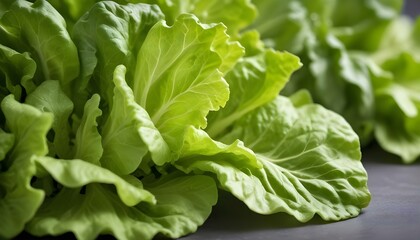 Fototapeta premium Vibrant green lettuce leaves fill the frame, presenting a fresh and healthy image for eating.