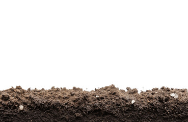 humus soil bottom border pile isolated on white or transparent png