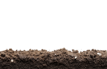 humus soil bottom border pile isolated on white or transparent png