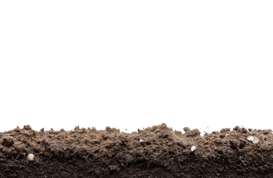 humus soil bottom border pile isolated on white or transparent png
