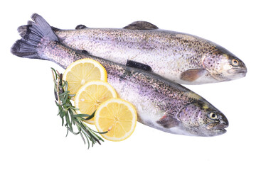 Fresh fish trout with lemon isolated