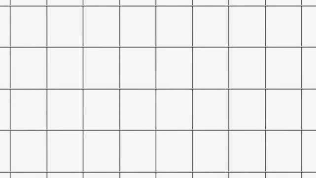 Movement of  horizontal and vertical lines forms square cells parallel and perpendicular