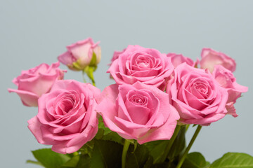 A bouquet of pink roses is arranged in a vase. close up. Scene is one of beauty and elegance