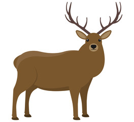 Obraz premium A stunning illustration of a majestic deer with impressive antlers, captivating all viewers