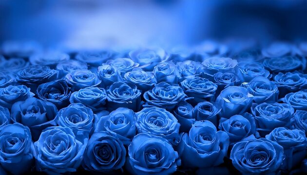青いバラ Images – Browse 758 Stock Photos, Vectors, and Video