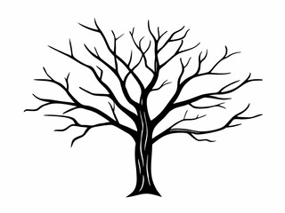 Obraz premium tree silhouette 
