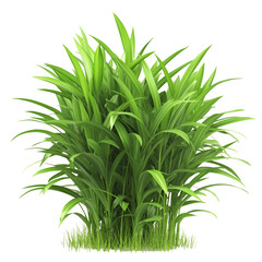 Fototapeta premium Bright green plant image for nature photography