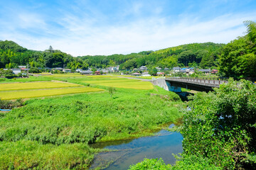 田舎の風景