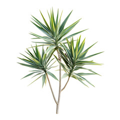 Closeup plant image for nature design