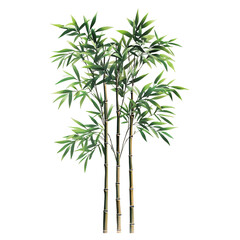 Fototapeta premium Dark green tree illustration stock image