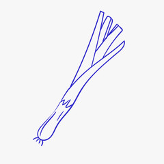 Fresh green onions ready for use in a variety of culinary dishes in the kitchen setting