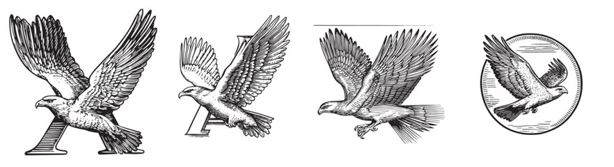 Vintage Artistic Illustrations of Birds in Flight and Typography, Set Logo design, Vector Illustration, Engraving style