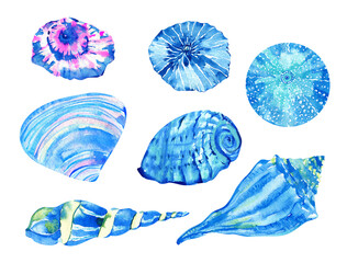 Watercolor blue seashells set isolated on white