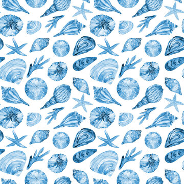 Blue sea shells  seamless pattern watercolor texture